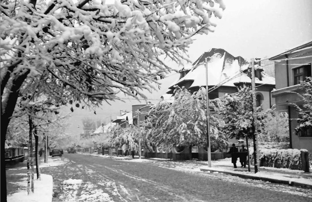 Strada Doctor Joseph Lister – o plimbare prin Cotroceni, între Bucureștiul de ieri și cel de azi (partea a 4-a)